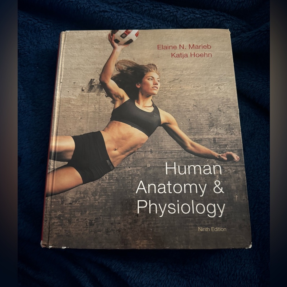 Human Anatomy and Physiology